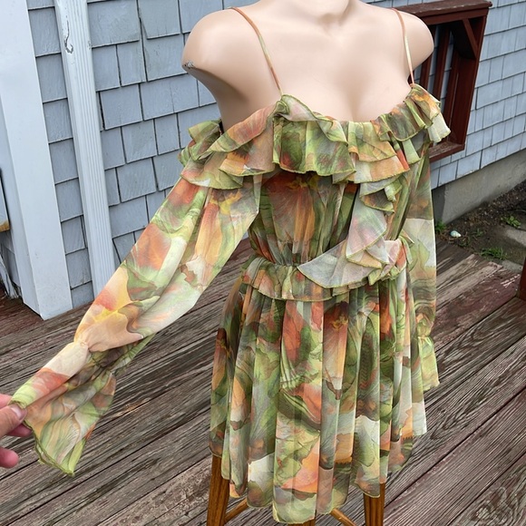 Zara Size Small Sheer Sleeve Ruffled Dress - Tags Attached - Picture 2 of 8